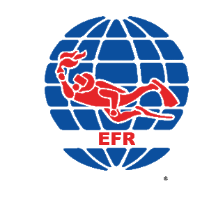 ﻿EFR